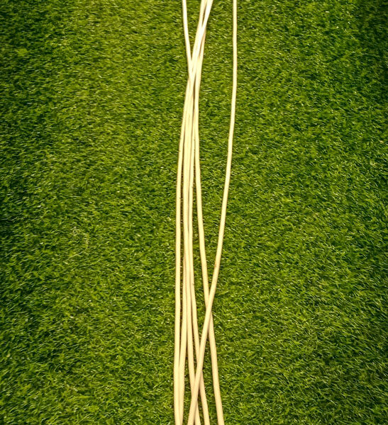WST100 Willow Sticks